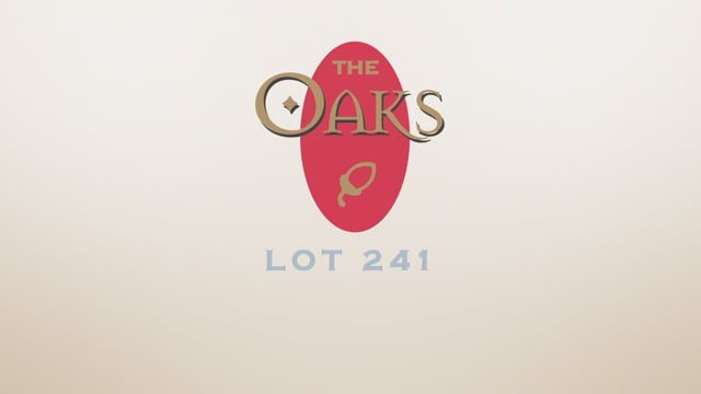Lot 241