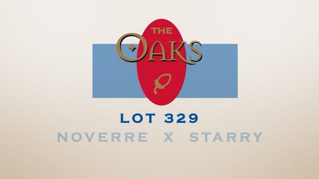 Lot 329