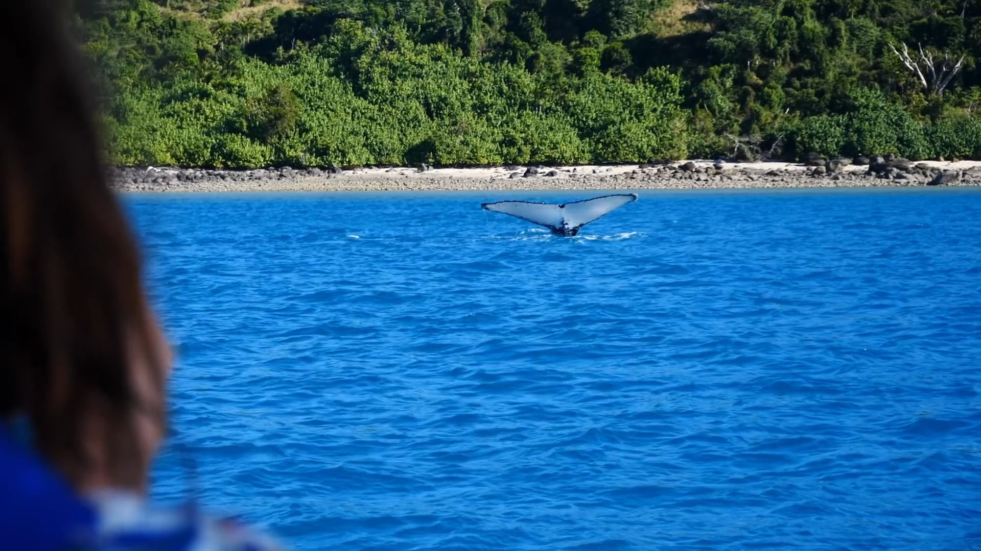 My Dream Adventures - Visit Australia