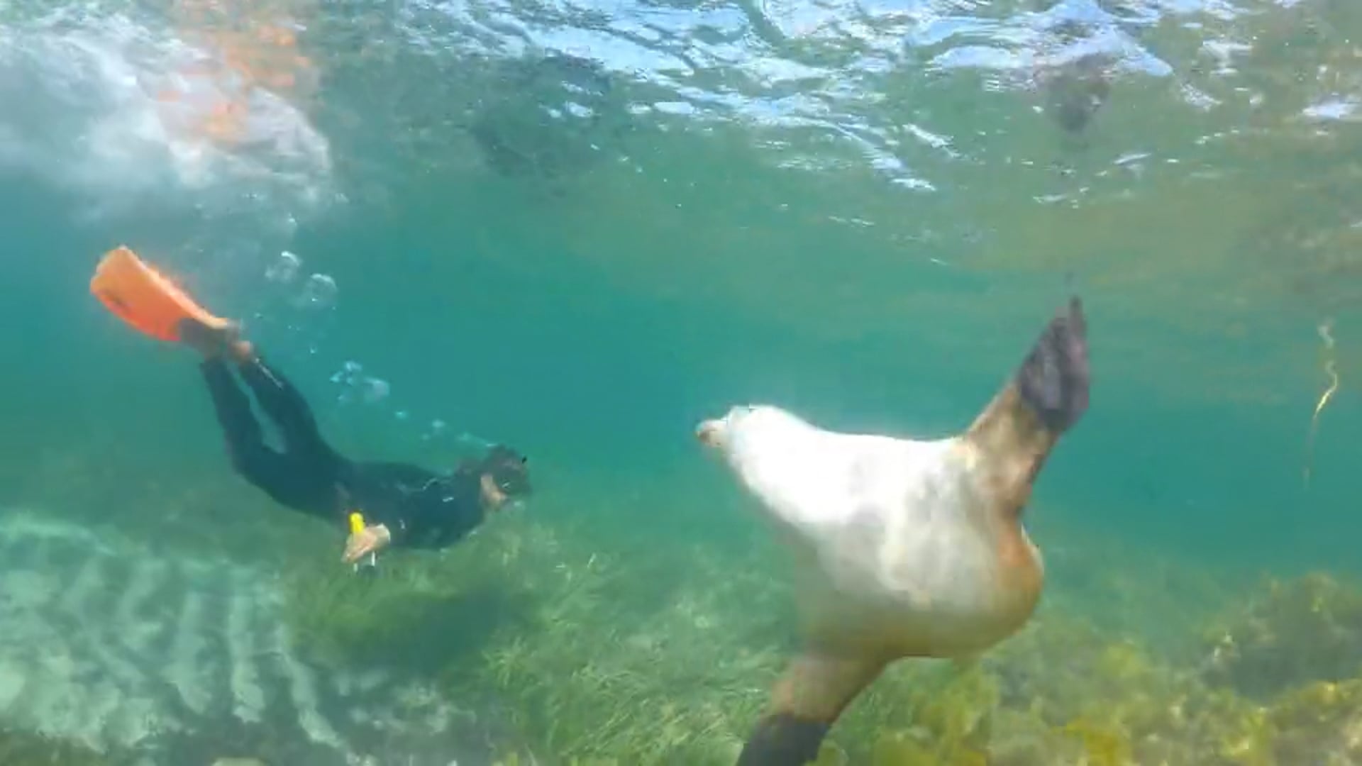 Road tripping South Australia