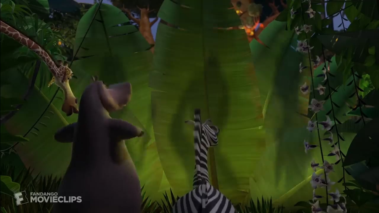 Madagascar (2005) - I Like to Move It Move It Scene (5_10) _ Movieclips ...