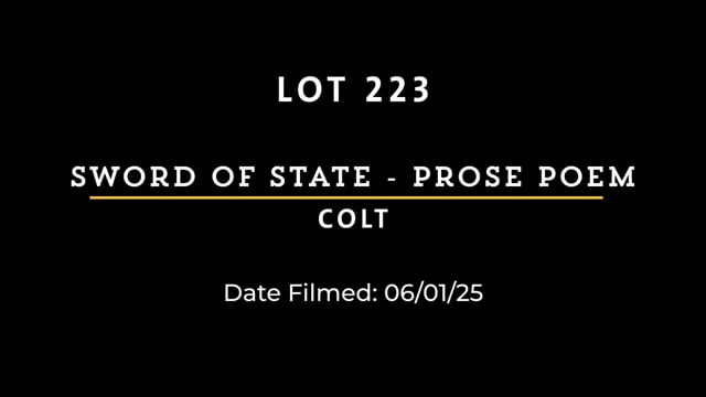 Lot 223