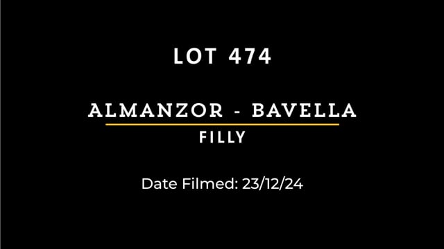 Lot 474