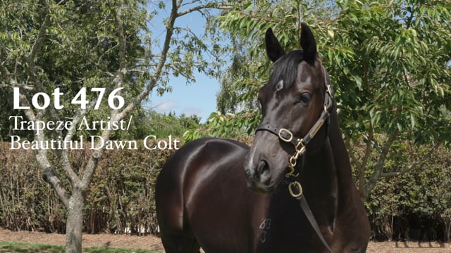 Lot 476