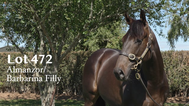 Lot 472