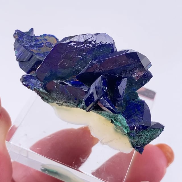 Azurite on Malachite (fine quality)