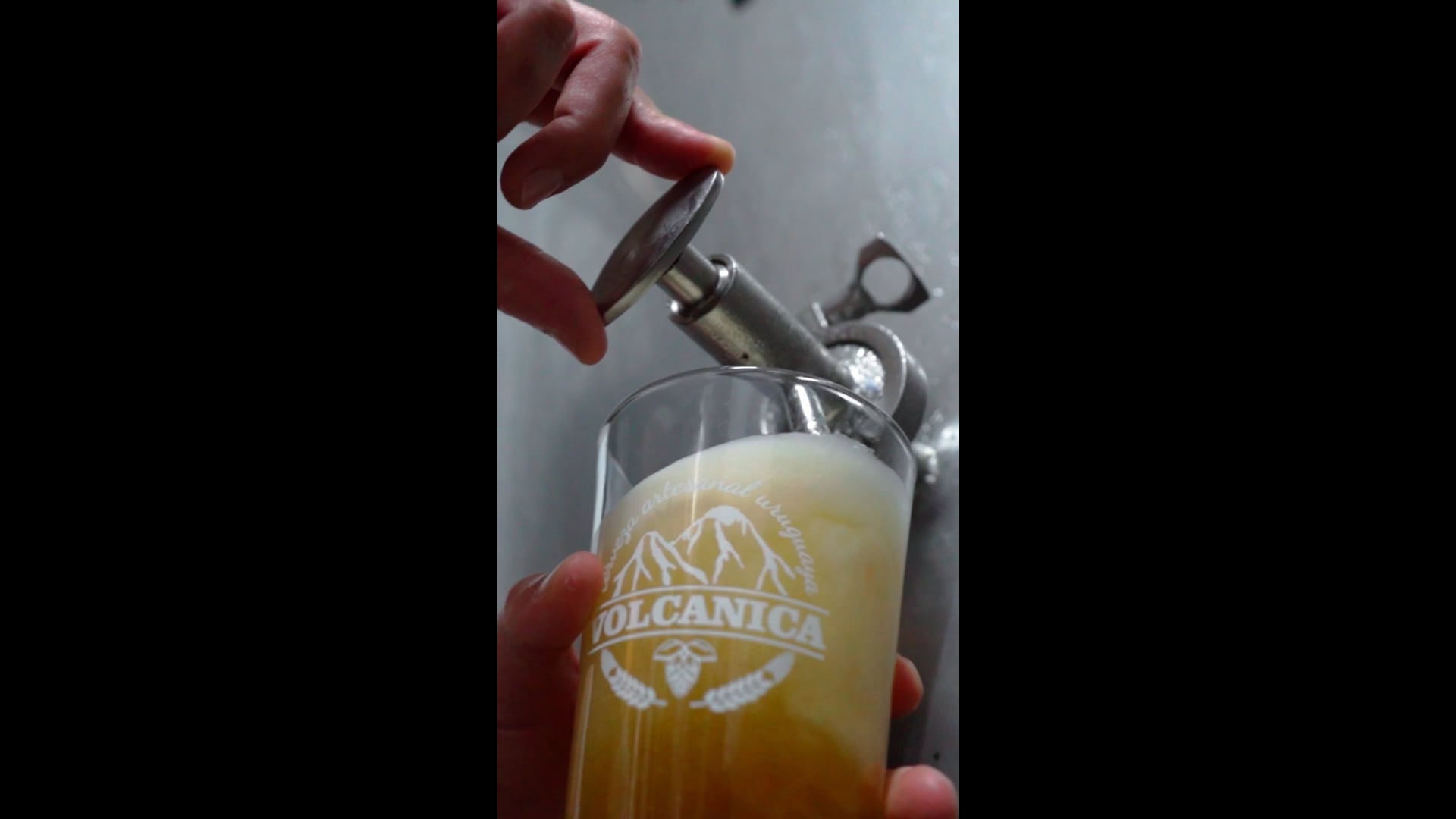 Cervecería VOLCANICA- Fiesta de la Cerveza Artesanal Parque del Plata