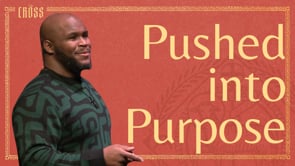 Pushed into Purpose