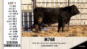 Lot #1 - M768