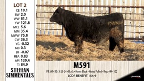 Lot #2 - M591