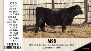 Lot #5 - M98