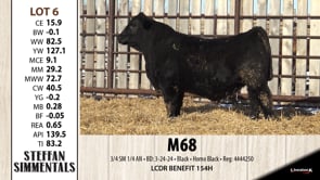 Lot #6 - M68