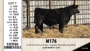 Lot #7 - M176