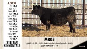 Lot #8 - M805
