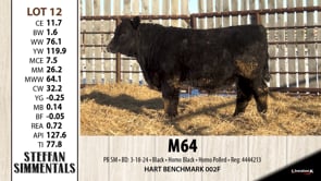 Lot #12 - M64