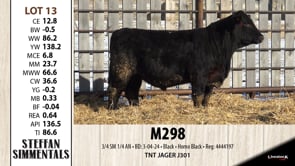 Lot #13 - M298
