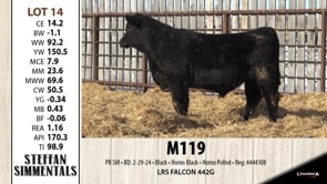 Lot #14 - M119