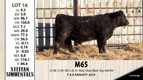 Lot #16 - M65
