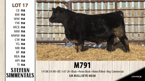 Lot #17 - M791
