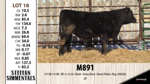 Lot #18 - M891
