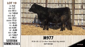 Lot #19 - M977