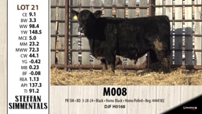 Lot #21 - M008