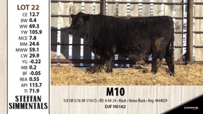 Lot #22 - M10