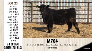 Lot #23 - M704