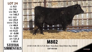 Lot #24 - M802