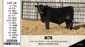 Lot #28 - M70