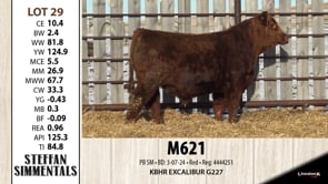 Lot #29 - M621