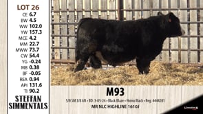 Lot #26 - M93