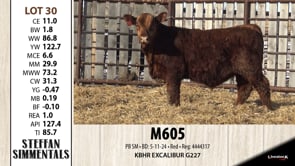 Lot #30 - M605