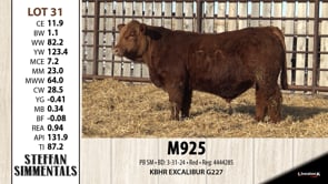 Lot #31 - M925