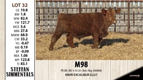 Lot #32 - M98