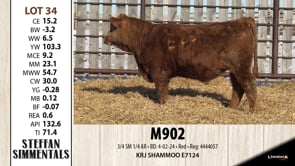 Lot #34 - M902