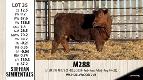 Lot #35 - M288