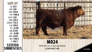 Lot #37 - M024