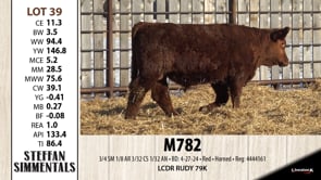 Lot #39 - M782
