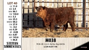 Lot #40 - M038