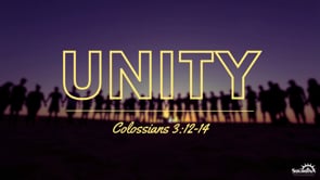 How to Guard our Unity in Christ: Colossians 3:12-14