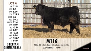 Lot #4 - M116