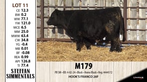Lot #11 - M179