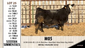 Lot #25 - M05