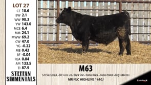 Lot #27 - M63