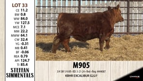 Lot #33 - M905