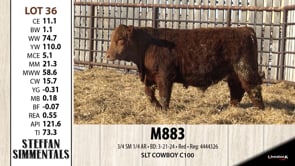 Lot #36 - M883