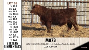 Lot #38 - M073