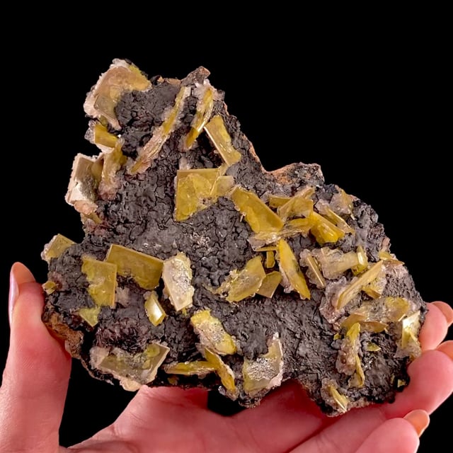 Wulfenite (fine locality specimen)