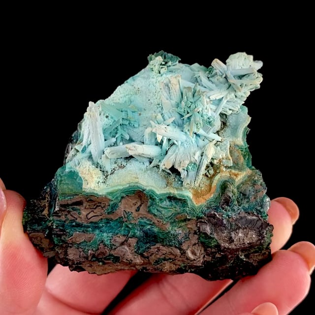 Chrysocolla pseudomorphs after Azurite or possibly Gypsum